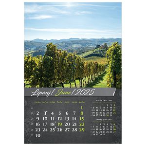 kalendar-vino-2025-13-listova-spirala-13123-a119-01_258093.jpg