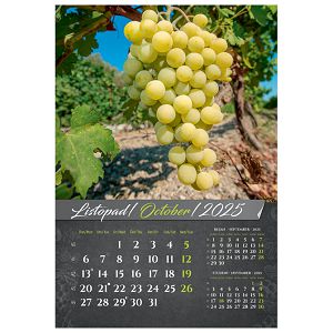 kalendar-vino-2025-13-listova-spirala-13123-a119-01_258097.jpg