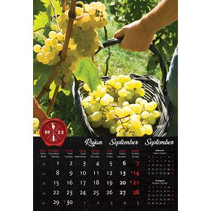 kalendar-vino-za-2025-13-lis-73681-ja000282_257419.jpg